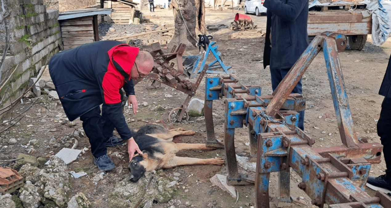 Bahçesine gelen köpeği av tüfeğiyle vurdu